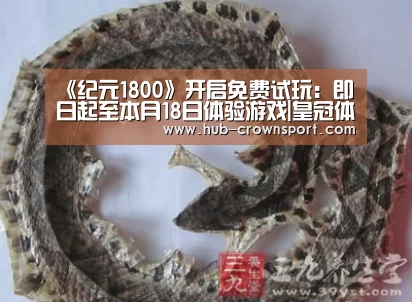 皇冠体育官网