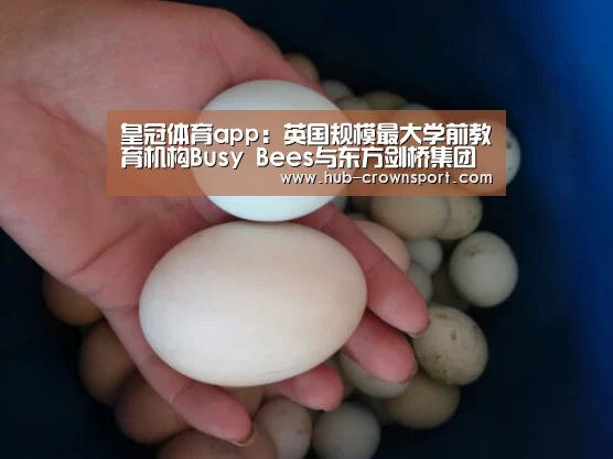 皇冠体育网址
