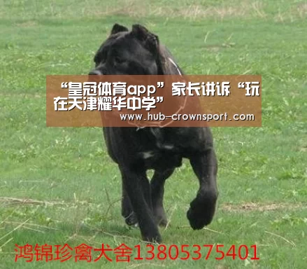 “皇冠体育app”家长讲诉“玩在天津耀华中学”(图4) 皇冠体育app