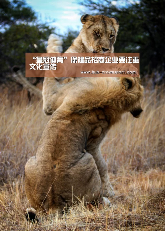 “皇冠体育”保健品招商企业要注重文化宣传(图2) 皇冠体育app