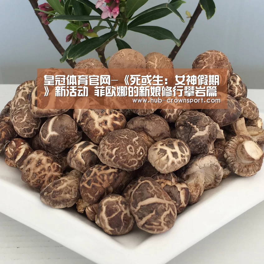 皇冠体育官网-《死或生:女神假期》新活动 菲欧娜的新娘修行攀岩篇(图1) 皇冠体育app