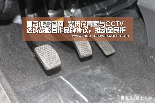 皇冠体育官网-紫觅花青素与CCTV达成战略合作品牌协议,推动全民护眼公益(图3) 皇冠体育app