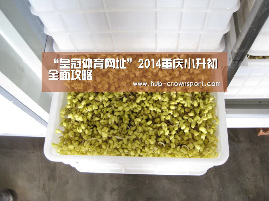 “皇冠体育网址”2014重庆小升初全面攻略(图4) 皇冠体育