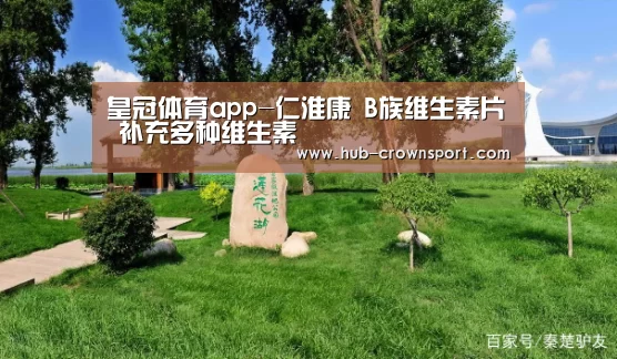 皇冠体育app-仁淮康 B族维生素片 补充多种维生素(图1) 皇冠体育